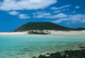 canarie